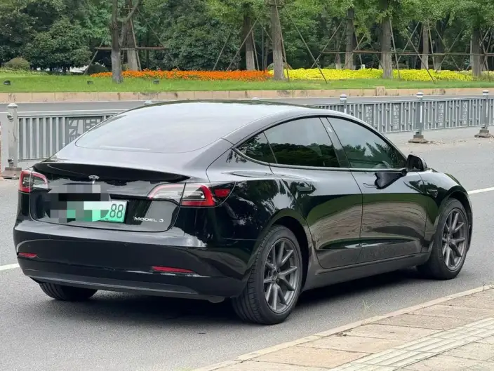 Model 3 2021 Model Standard Battery Life Rear Drive L Class Edition – фото 6