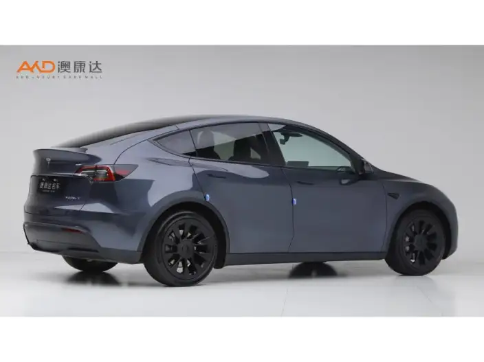 Model Y 2022 Model Rear-wheel drive version – фото 4
