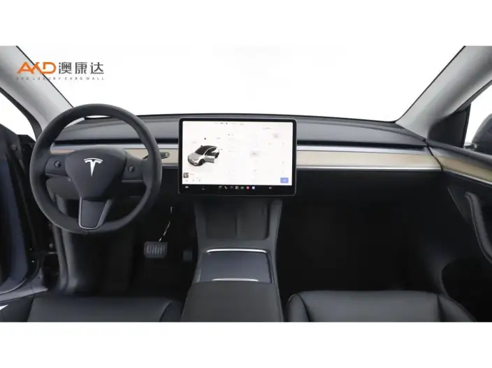 Model Y 2022 Model Rear-wheel drive version – фото 7