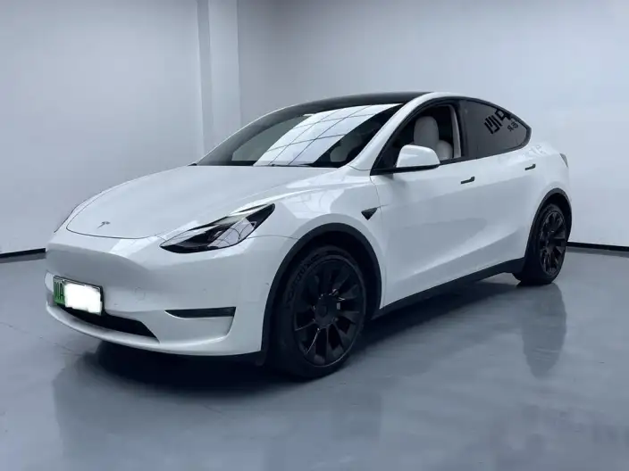Model Y 2021 Model Long Battery Life Pro All-wheel drive version – фото 1