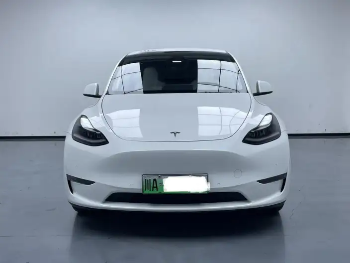 Model Y 2021 Model Long Battery Life Pro All-wheel drive version – фото 2