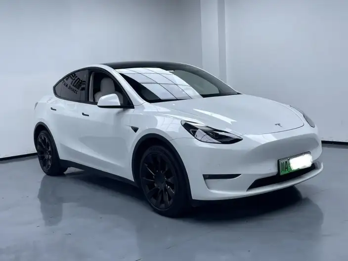 Model Y 2021 Model Long Battery Life Pro All-wheel drive version – фото 3