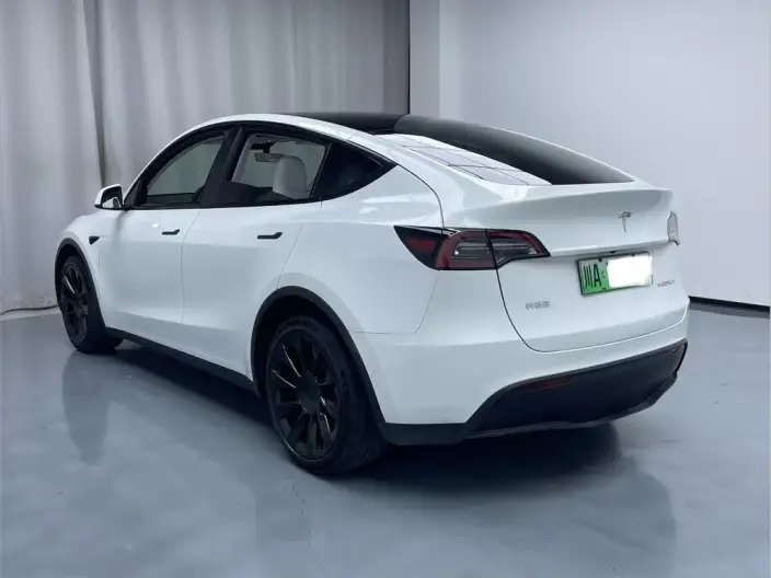 Model Y 2021 Model Long Battery Life Pro All-wheel drive version – фото 4