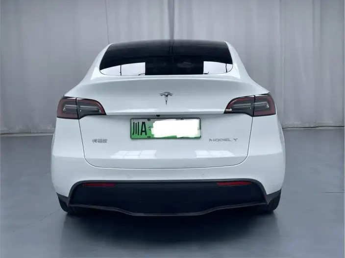 Model Y 2021 Model Long Battery Life Pro All-wheel drive version – фото 5