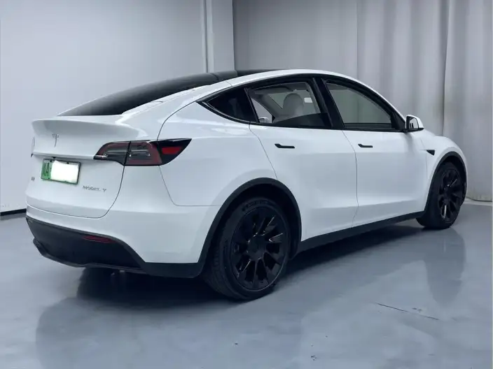 Model Y 2021 Model Long Battery Life Pro All-wheel drive version – фото 6