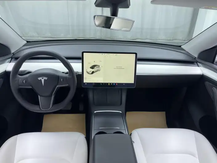 Model Y 2021 Model Long Battery Life Pro All-wheel drive version – фото 9