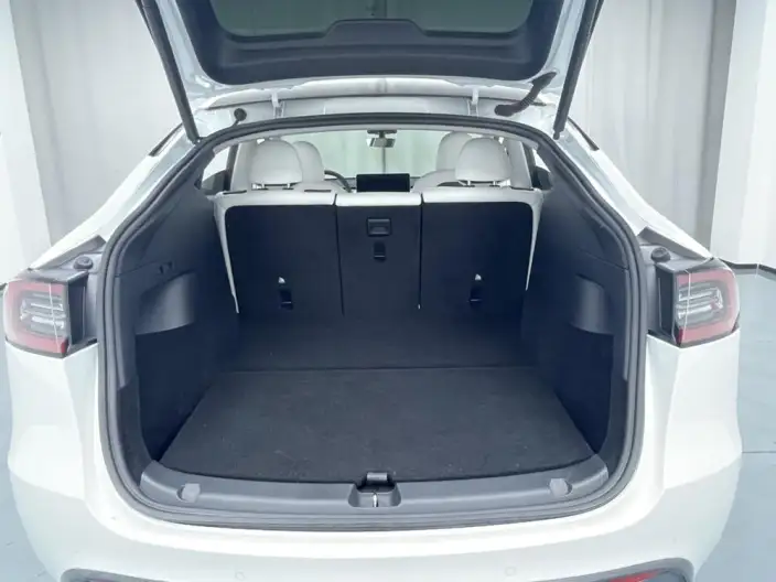 Model Y 2021 Model Long Battery Life Pro All-wheel drive version – фото 15