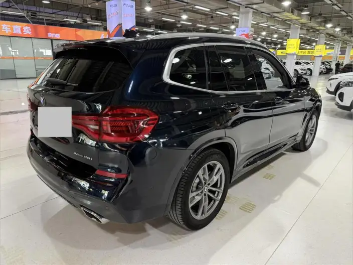 BMW X3 2021 Model xDrive25i M Sports Set – фото 7