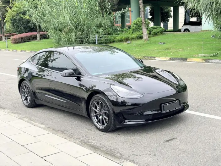 Model 3 2021 Model Standard Battery Life Rear Drive L Class Edition – фото 3
