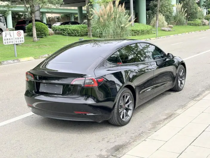 Model 3 2021 Model Standard Battery Life Rear Drive L Class Edition – фото 6