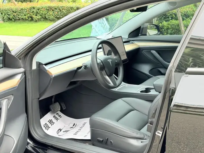 Model 3 2021 Model Standard Battery Life Rear Drive L Class Edition – фото 10
