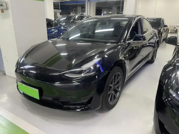 Model 3 2020 Model Facelift Standard Battery Life Rear Drive L Class Edition – фото 1