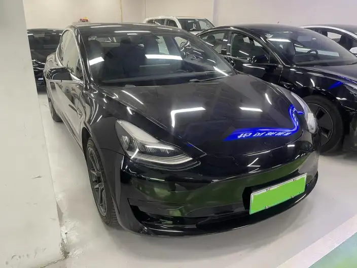 Model 3 2020 Model Facelift Standard Battery Life Rear Drive L Class Edition – фото 3