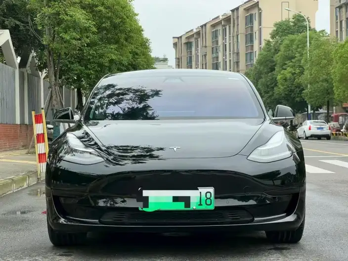 Model 3 2020 Model Standard Battery Life Rear Drive L Class Edition – фото 2