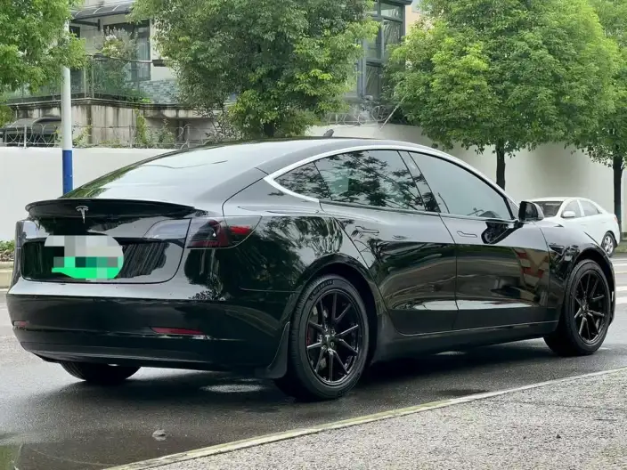 Model 3 2020 Model Standard Battery Life Rear Drive L Class Edition – фото 3