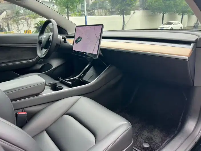 Model 3 2020 Model Standard Battery Life Rear Drive L Class Edition – фото 6