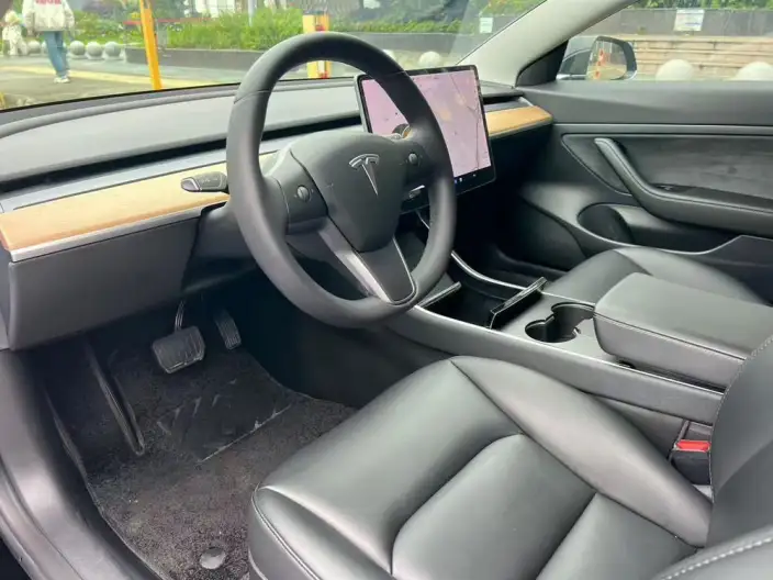 Model 3 2020 Model Standard Battery Life Rear Drive L Class Edition – фото 7