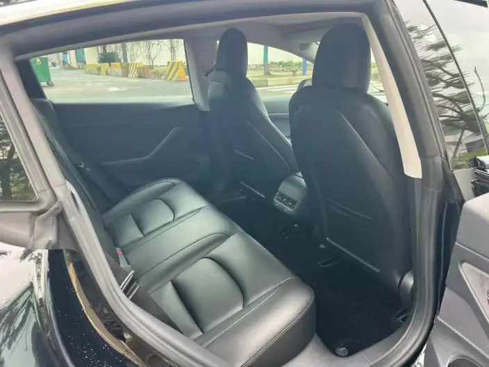 Model 3 2020 Model Standard Battery Life Rear Drive L Class Edition – фото 9