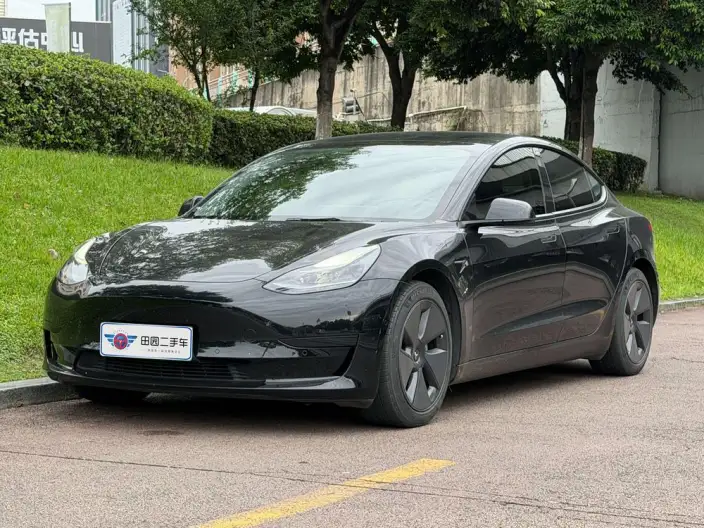 Model 3 2021 Model Standard Battery Life Rear Drive L Class Edition 3D1