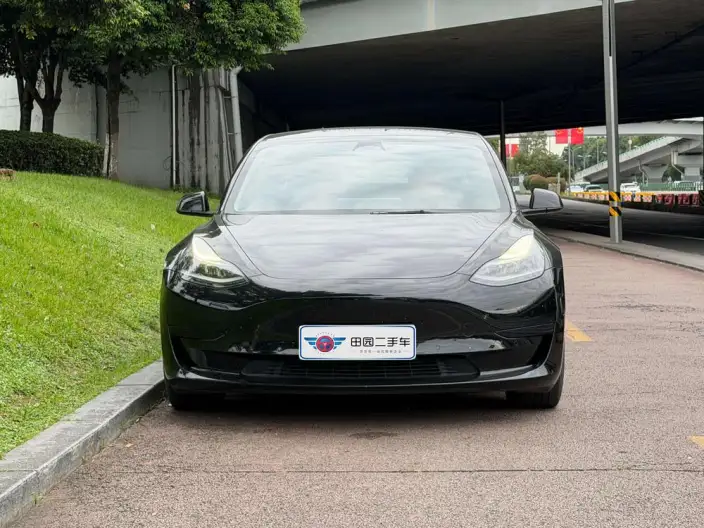 Model 3 2021 Model Standard Battery Life Rear Drive L Class Edition 3D1