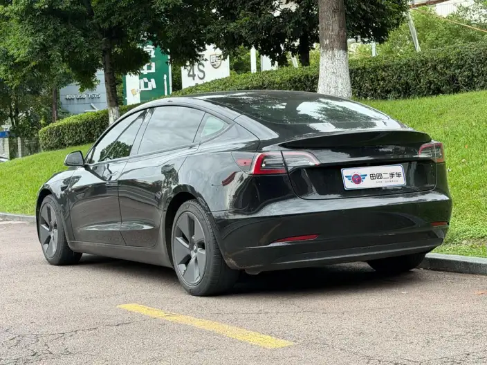 Model 3 2021 Model Standard Battery Life Rear Drive L Class Edition 3D1