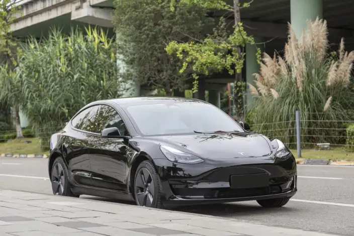 Model 3 2022 Model Rear-wheel drive version – фото 3