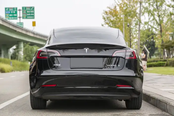 Model 3 2022 Model Rear-wheel drive version – фото 5