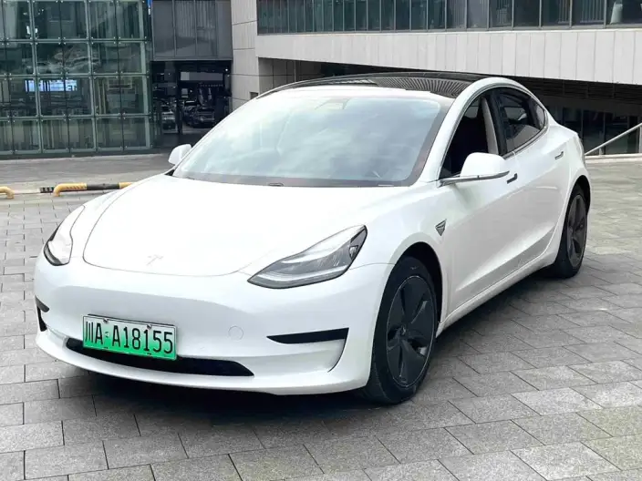 Model 3 2021 Model Standard Battery Life Rear Drive L Class Edition – фото 1