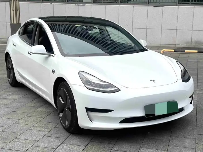 Model 3 2021 Model Standard Battery Life Rear Drive L Class Edition – фото 2