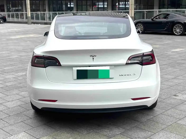 Model 3 2021 Model Standard Battery Life Rear Drive L Class Edition – фото 3