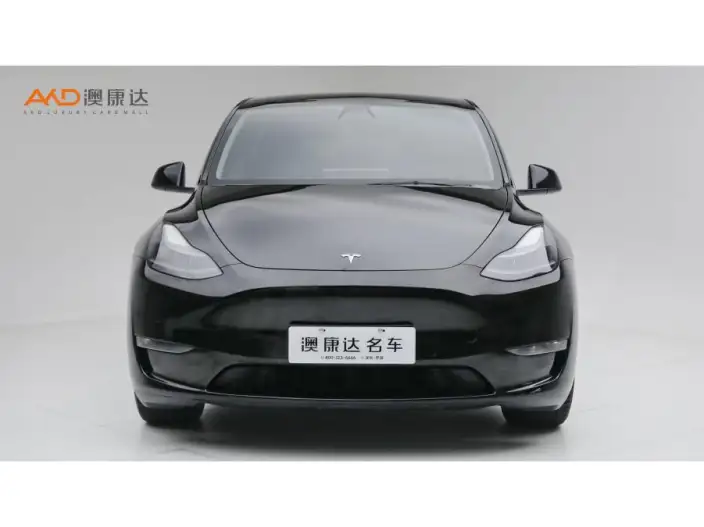 Model Y 2022 Model Facelift Long Battery Life Pro All-wheel drive version – фото 2