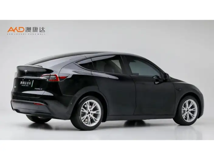Model Y 2022 Model Facelift Long Battery Life Pro All-wheel drive version – фото 4