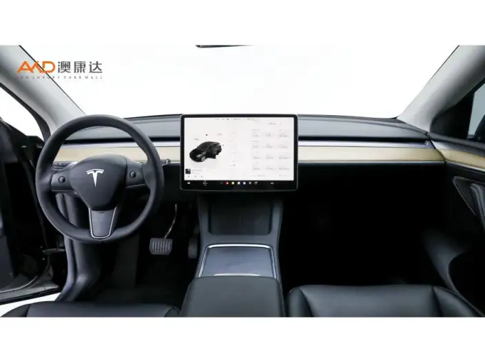 Model Y 2022 Model Facelift Long Battery Life Pro All-wheel drive version – фото 7
