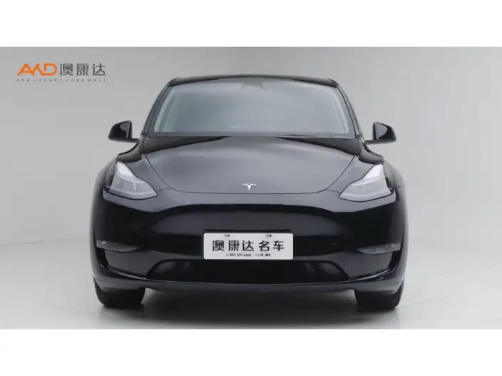 Model Y 2022 Model Facelift Long Battery Life Pro All-wheel drive version – фото 2