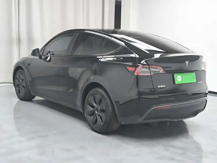 Model Y 2023 Model Long Battery Life Pro All-wheel drive version – фото 5