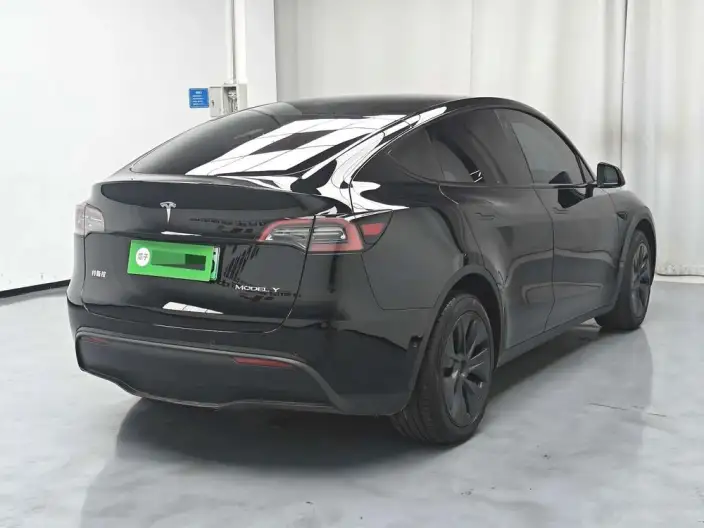 Model Y 2023 Model Long Battery Life Pro All-wheel drive version – фото 6