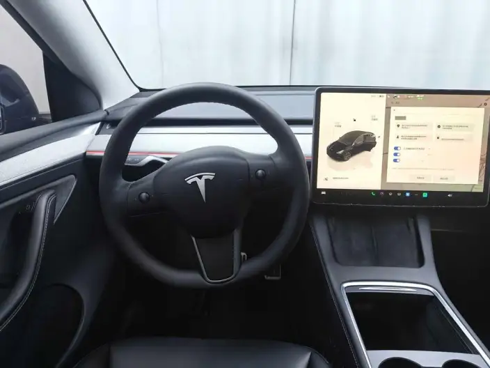 Model Y 2023 Model Long Battery Life Pro All-wheel drive version – фото 10