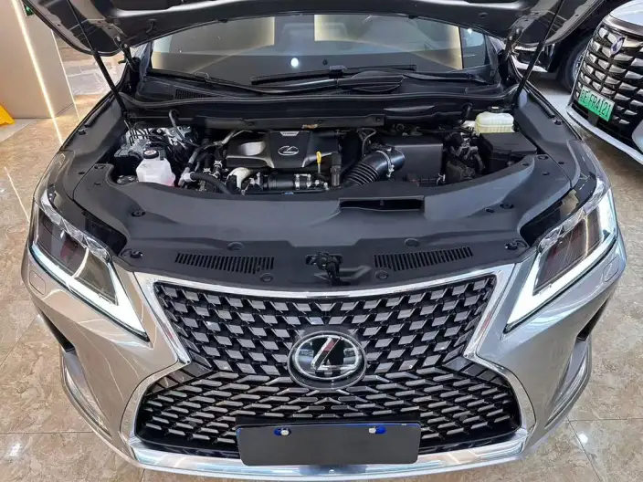 Lexus RX 2020 Model Facelift 300 4WD Elegant Edition – фото 7