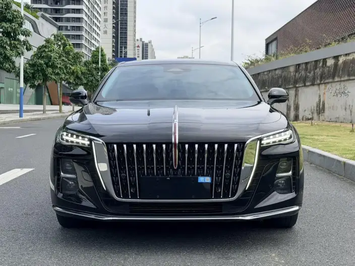 Hongqi H5 2024 Model 2.0T Automatic Flag Enjoy Edition – фото 2