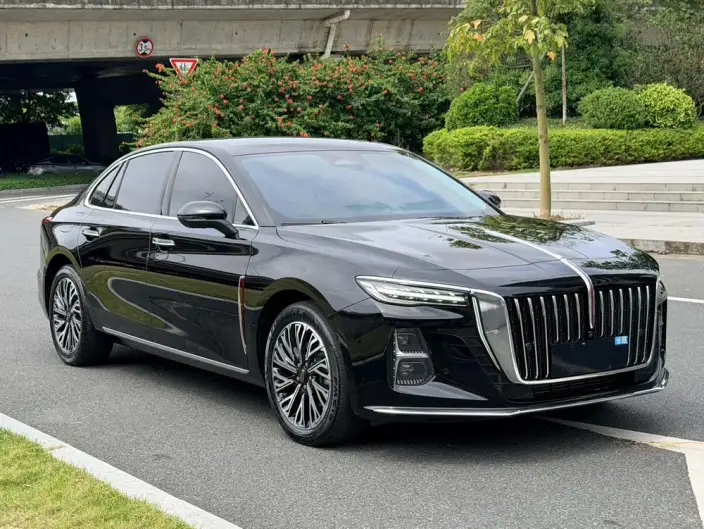 Hongqi H5 2024 Model 2.0T Automatic Flag Enjoy Edition – фото 3
