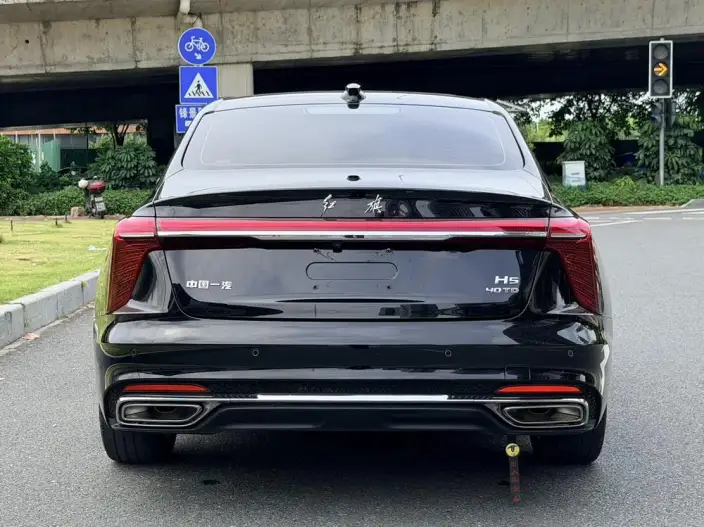 Hongqi H5 2024 Model 2.0T Automatic Flag Enjoy Edition – фото 6