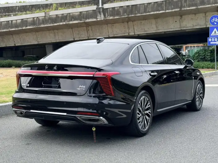 Hongqi H5 2024 Model 2.0T Automatic Flag Enjoy Edition – фото 7