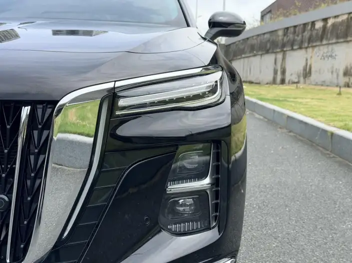 Hongqi H5 2024 Model 2.0T Automatic Flag Enjoy Edition – фото 11