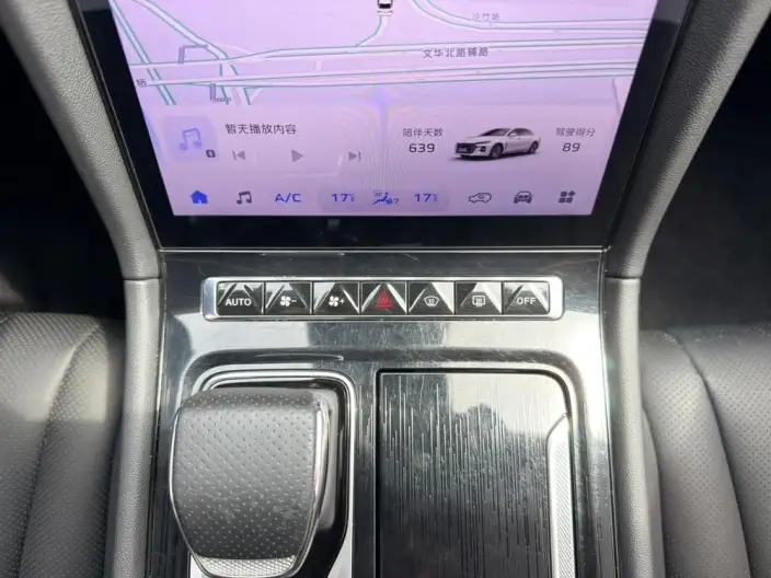 Hongqi H5 2024 Model 2.0T Automatic Flag Enjoy Edition – фото 21