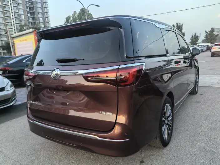 Buick GL8 2022 Model ES Luzun 653T Flagship Model – фото 4