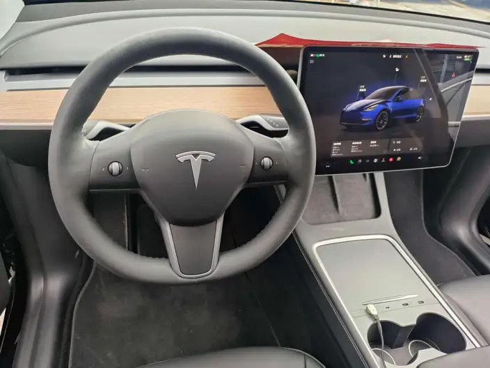 Model Y 2023 Model Long Battery Life Pro All-wheel drive version – фото 8