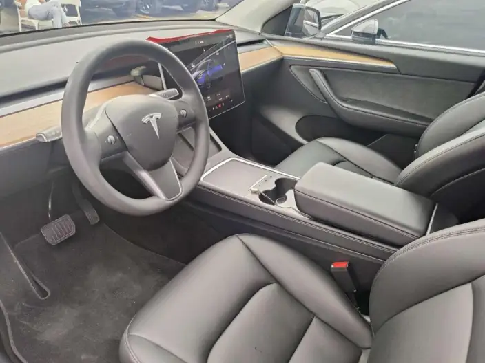 Model Y 2023 Model Long Battery Life Pro All-wheel drive version – фото 13
