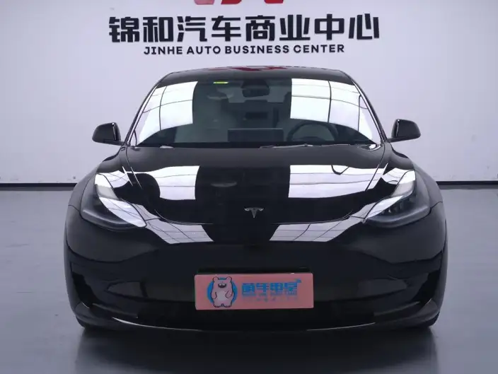 Model 3 2022 Model Rear-wheel drive version – фото 2