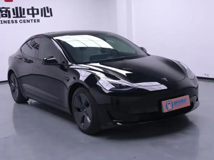 Model 3 2022 Model Rear-wheel drive version – фото 3