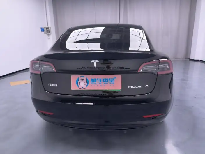 Model 3 2022 Model Rear-wheel drive version – фото 5